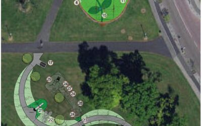 Belarmine Playground Proposal