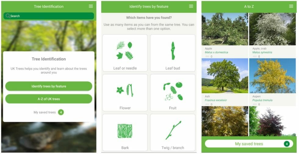 Identify trees with the Woodlands Trust Tree ID App — Belarmine